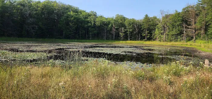 Indian Lake 4