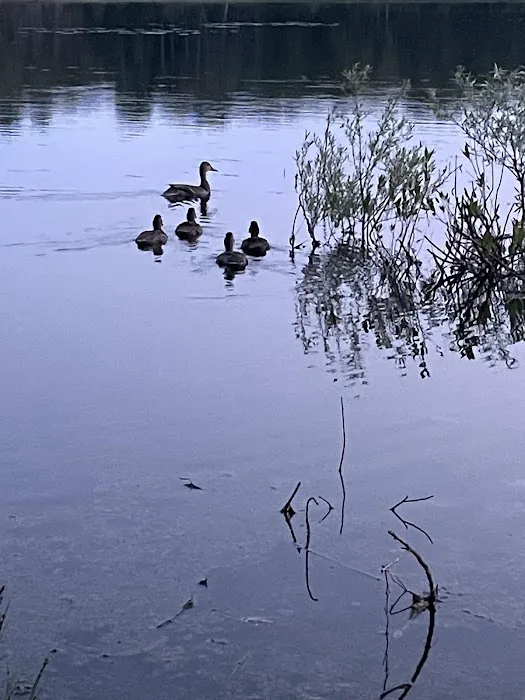 Indian Lake 8