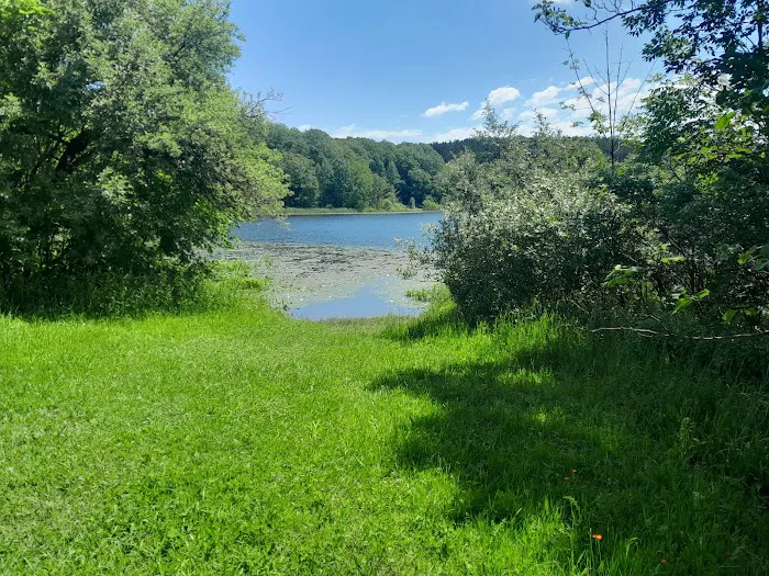 Brush Lake Campground 4
