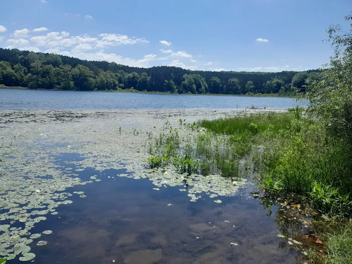 Brush Lake Campground 1