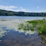 Brush Lake Campground