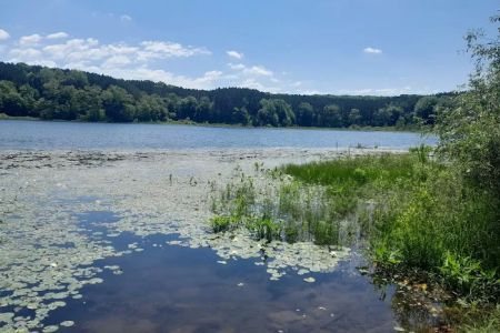 Brush Lake Campground
