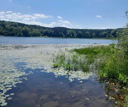Brush Lake Campground