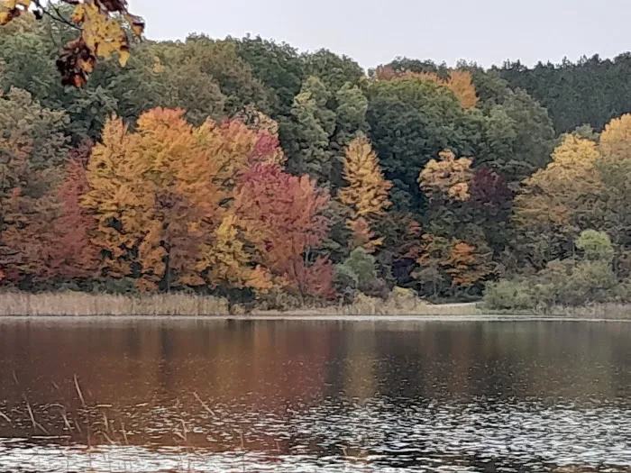 Brush Lake Campground 3