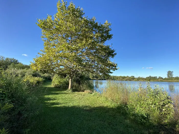 Maumee Bay State Park Campground 9