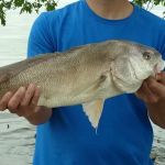 Harbor Landing Campground