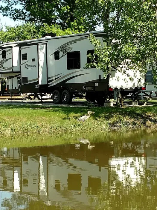 Harbor Landing Campground 6