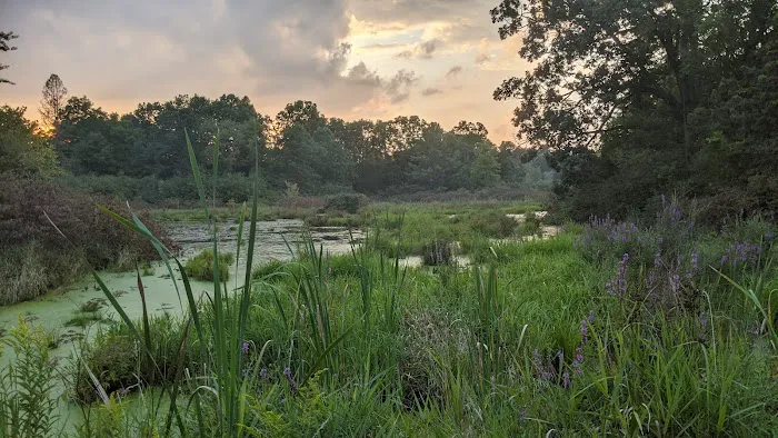 Bishop Lake Campgrounds 4