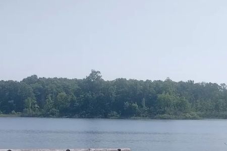 Brighton Appleton Lake Rustic Campground