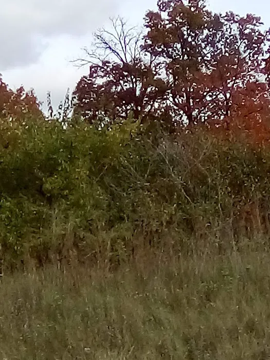 Cider Mill Crossings 10