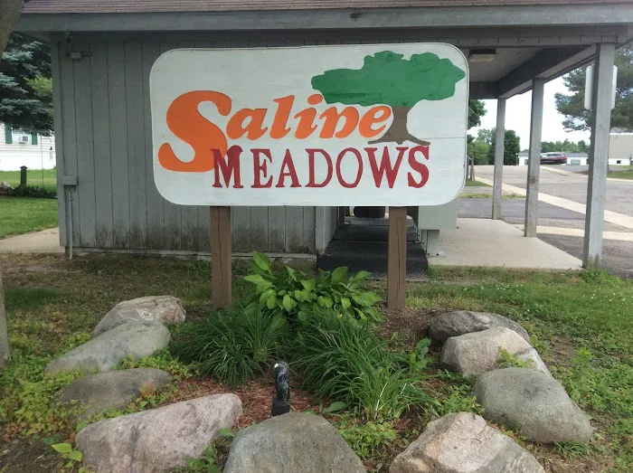 Saline Meadows 3