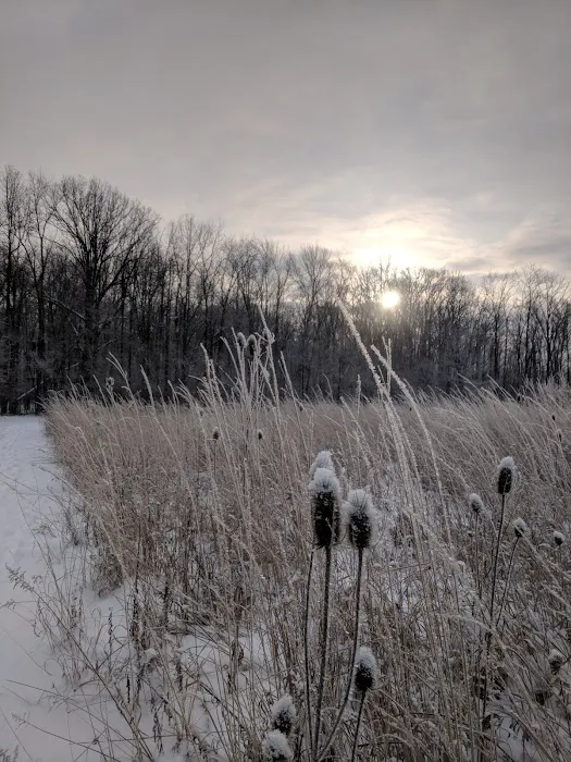 Saline Meadows 10