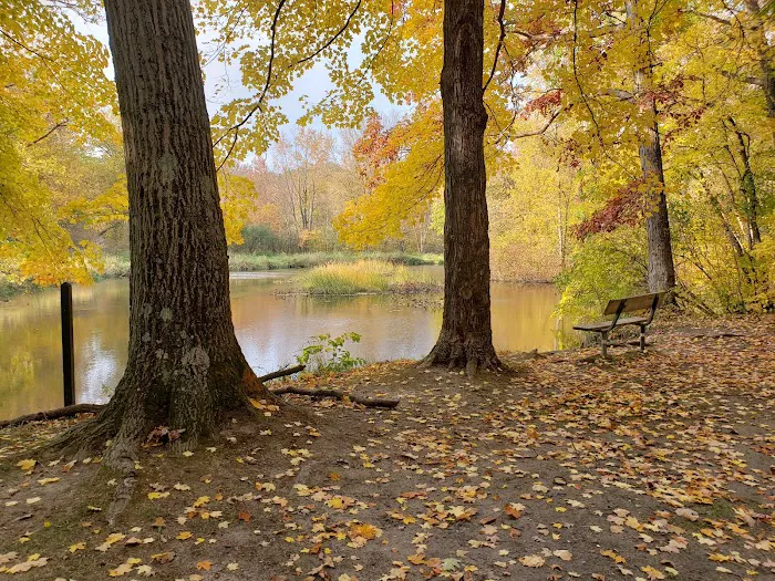 Island Lake-Canoe Campground 7