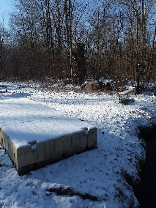 Island Lake-Canoe Campground 10