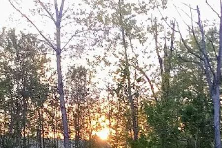 Rosewood Pointe Mobile Home Park