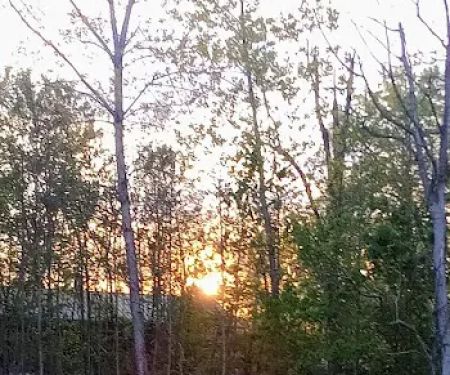 Rosewood Pointe Mobile Home Park