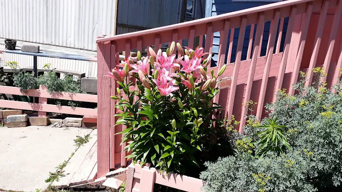 Derby Lane Mobile Home Community 2