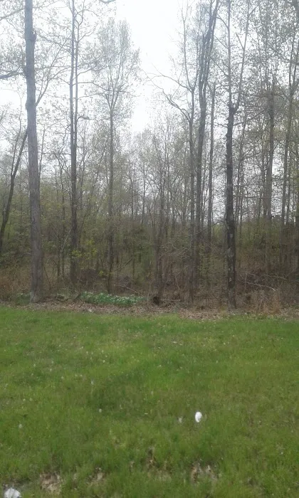 Bryan Lake Campgrounds 4