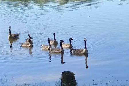 Bryan Lake Campgrounds