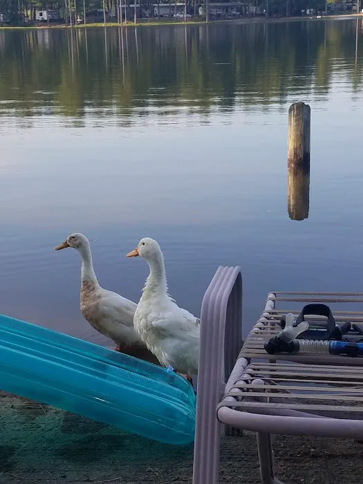 Bryan Lake Campgrounds 5