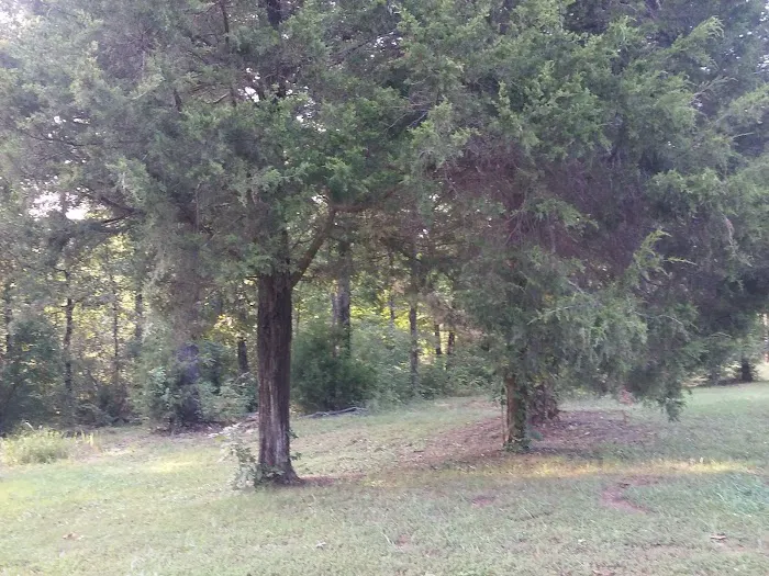 Bryan Lake Campgrounds 9