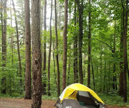 Pine Ridge Campground