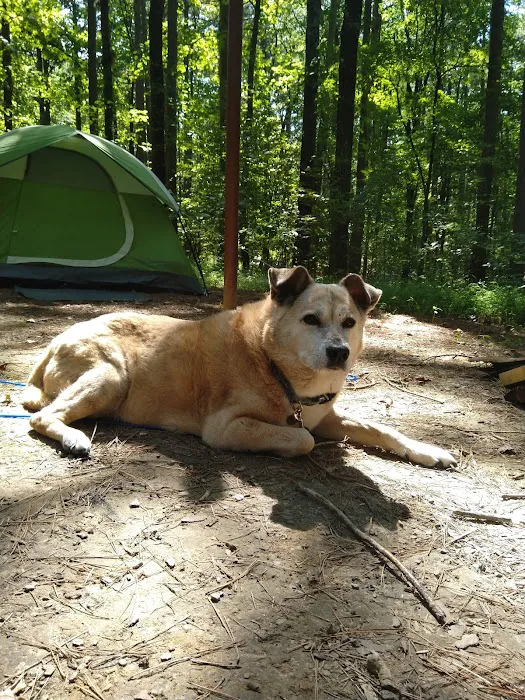 Pine Ridge Campground 9