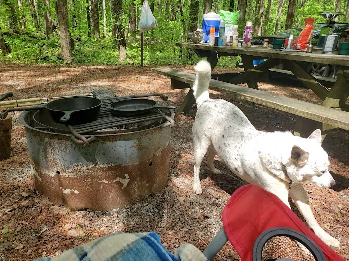 Pine Ridge Campground 8