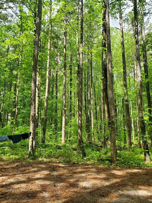Pine Ridge Campground 6