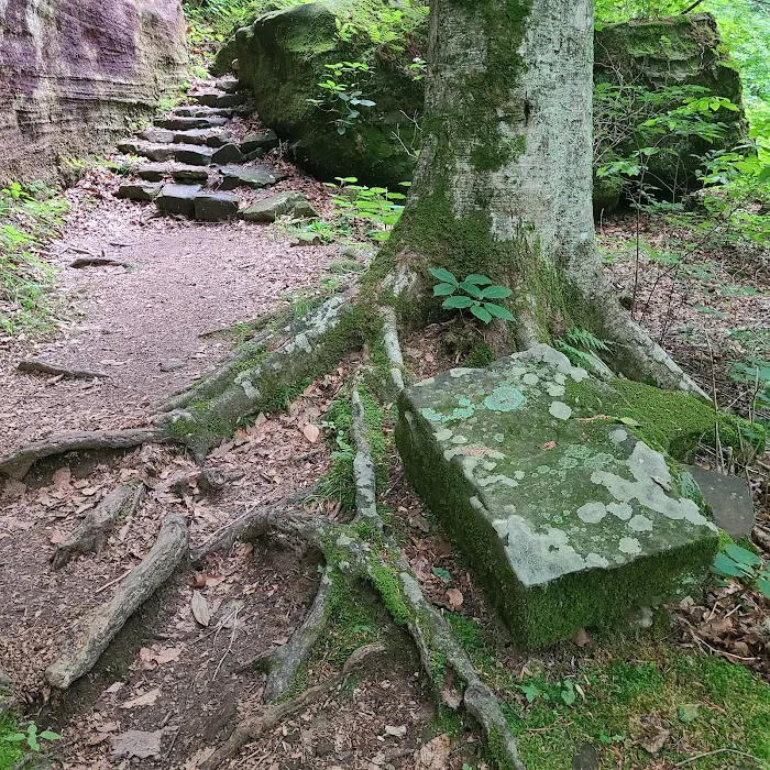 Pounds Hollow Recreation Area 1