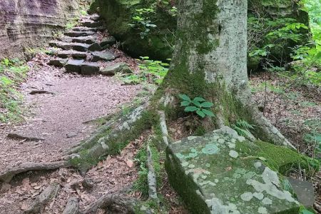 Pounds Hollow Recreation Area