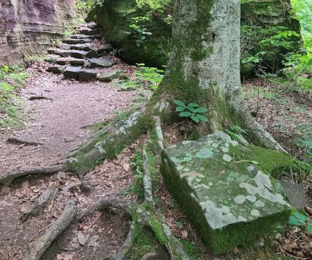 Pounds Hollow Recreation Area