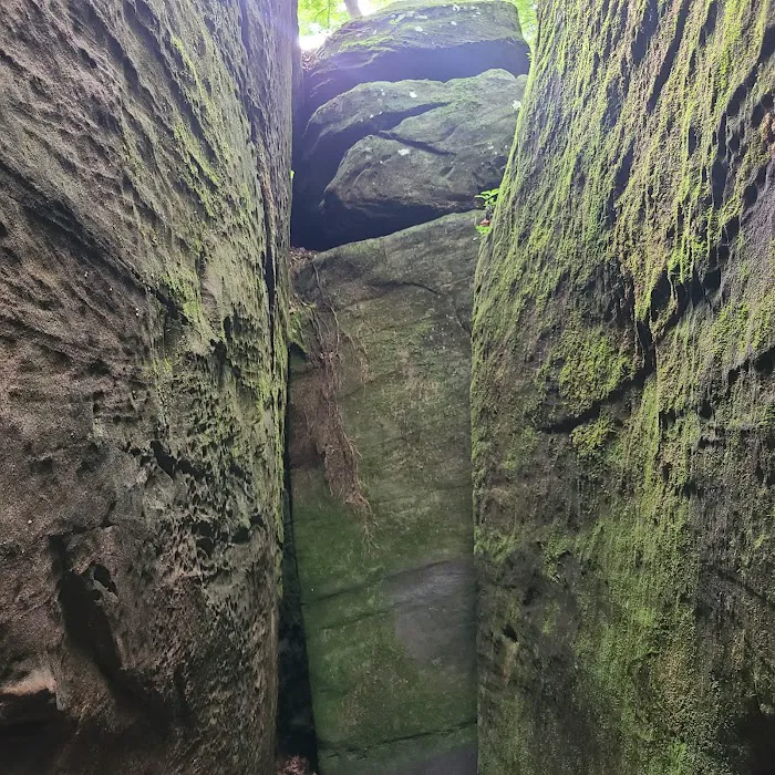 Pounds Hollow Recreation Area 5