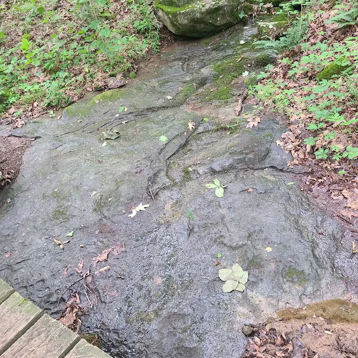 Pounds Hollow Recreation Area 9