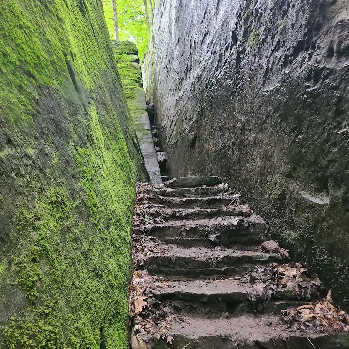 Pounds Hollow Recreation Area 8