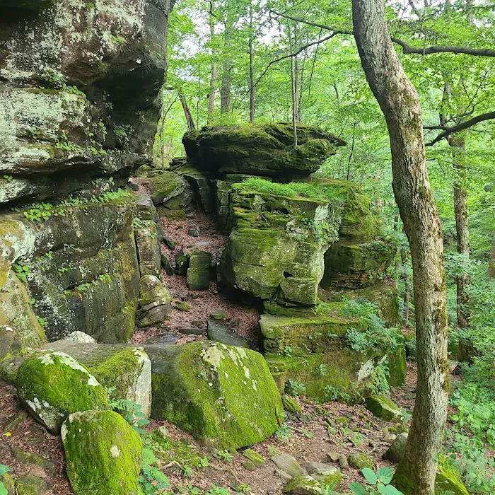 Pounds Hollow Recreation Area 10