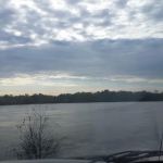 US Forestry Department