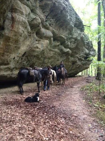 High Knob Equestrian Campground 5