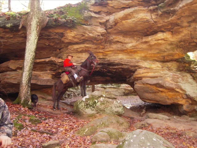 High Knob Equestrian Campground 7