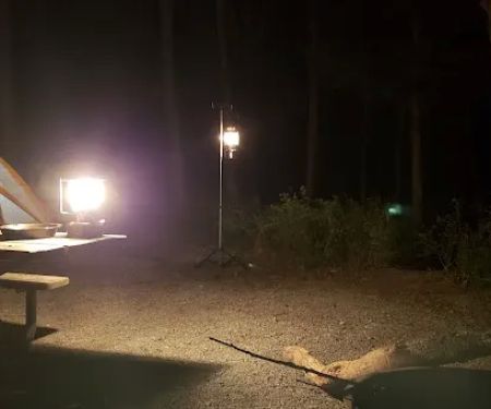 Pharaoh Campground