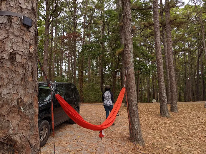 Pharaoh Campground 5