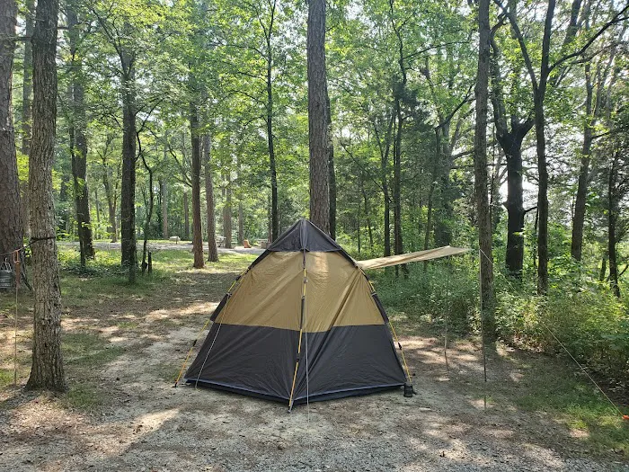 Pharaoh Campground 6