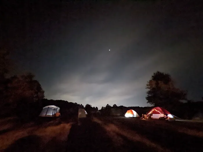 Scout Camp Spot 8