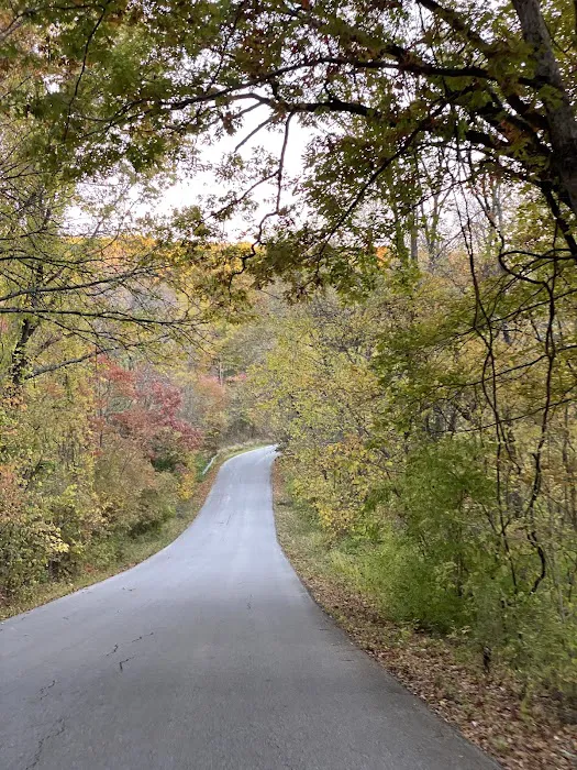 Babler State Park Campground 3