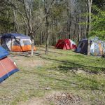 Group Camping Area, Edmund A. Babler Memorial State Park