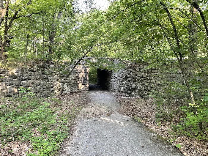 Group Camping Area, Edmund A. Babler Memorial State Park 6
