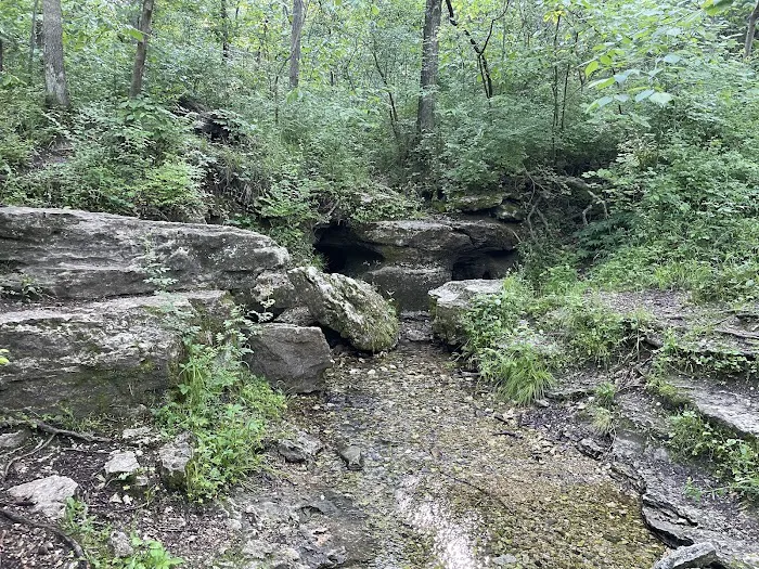 Group Camping Area, Edmund A. Babler Memorial State Park 5