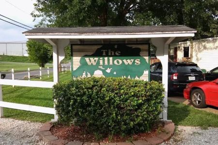The Willows