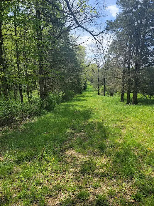 Thousand Trails Indian Lakes 9