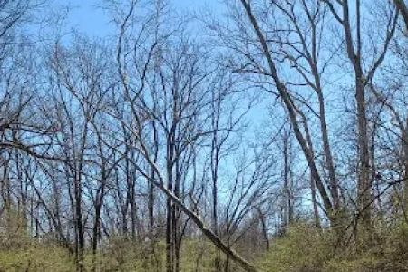 Sycamore State Park Group Camp
